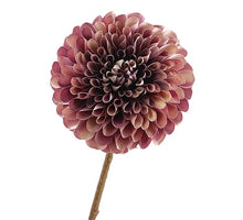 Dahlia 65cm Purple/Cream