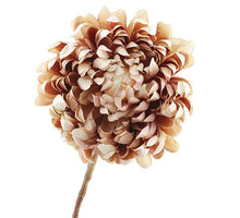 Chrysanthemum 65cm Brown/Pink