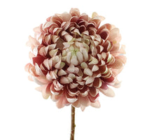 Chrysanthemum 65cm Cream/Pink