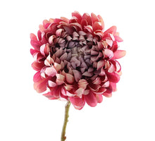 Chrysanthemum 65cm Mauve/Pink