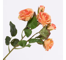 Rosa Spray wh 3 fls & 2 buds Peach 43cm