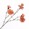 Dianthus Spray D.Pink 56cm