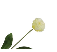 Tulipa Crispa Cream 58cm