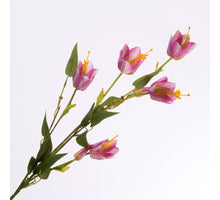 Fritillaria Spray Pink 85cm