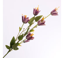 Fritillaria Spray Purple 85cm