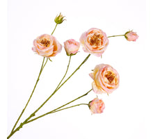 Rosa Spray Pink Light 94cm