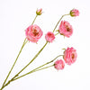 Rosa Spray Pink  94cm