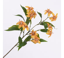 Lilium Spray Orange 78cm