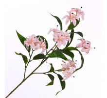 Lilium Spray Pink 78cm