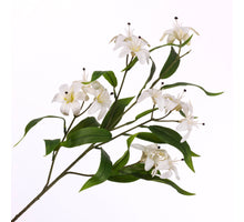 Lilium Spray White 78cm