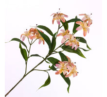 Lilium Spray Pink Yellow 78cm