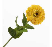 Zinnia Yellow 70cm