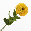 Zinnia Yellow 70cm