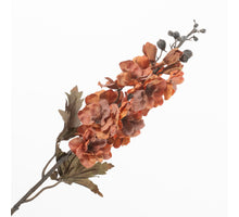 Delphinium Orange 75cm