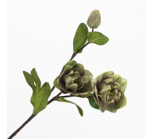 Helleborus Spray Green/Purple 55cm