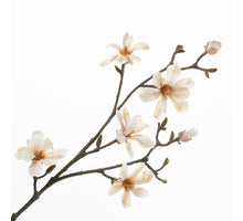 Magnolia Spray Cream 100cm