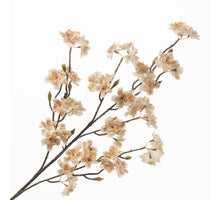 Cherry Blossom Spray Cream 95cm