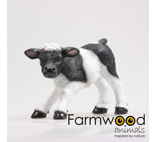 KOE KALF STAAND S 30X12X20 CM