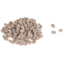 Casuarina ±2cm frosted white 1kg