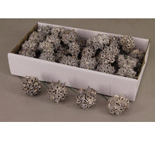 Spidergum vrucht op steker 10cm White wash 55st