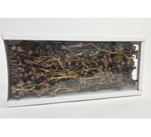 Conical Gum Branch Natural (50 Pcs)