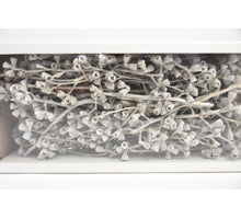 Conical Gum Branch White-wash (50 Pcs)