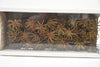 Spidergum Claw Loose Natural (50pcs)