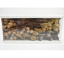 Leucadendron Ass. Natural (50pcs)