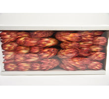 Repens Red (50pcs)