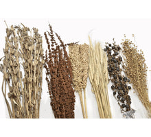 DF Grass Mix Natural 6 assortie