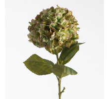 Hydrangea L102cm Green