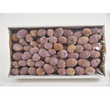 Muirii 10cm Wire Box Lilac-wash (100pcs)