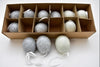 Box of 12 chicken eggs on ribbon, gray mix