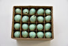 Box of 60 quail eggs Turquoise