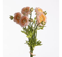 Ranunculus Bundle x5 L38cm w/raffia Beige