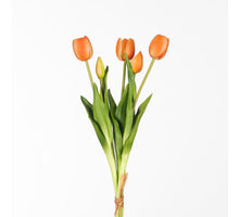 Real Touch Tulip Bundle x5 L43cm Peach