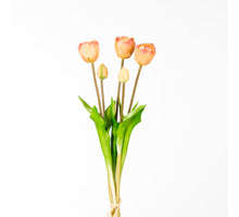 Real Touch Tulip Dubble Bundle x5 L44cm Salmon