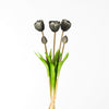 Real Touch Tulip Double Bundle x5 L44cm Black