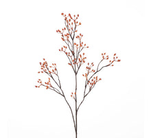 Rosehip Corallo Spray L99cm Orange