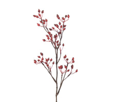 Rosehip Corallo Spray L61cm Red