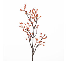 Rosehip Corallo Spray L61cm Orange