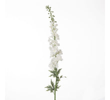 Delphinium L137cm White