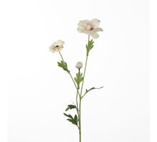 Ranunculus Butterfly L58cm Pink