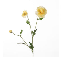 Ranunculus Butterfly L58cm Yellow