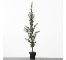 Pine Tree in Pot L88cm Green