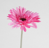 Gerbera L58cm Beauty