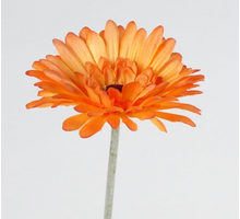 Gerbera L58cm Orange