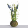 Muscari x3 on mossball L24cm blue