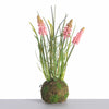 Muscari x3 on Mossball L24cm Pink