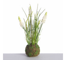 Muscari x3 on mossball L24cm white